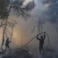 EK: Graikijoje kilęs gaisras yra didžiausias kada nors ES užfiksuotas miško gaisras