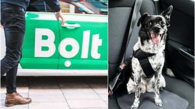 Neįprastas įvykis Vilniuje: šuo pridergė „Bolt” automobilyje, keleivė paspruko
