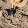 Masinę kapavietę Vidurio ir Rytų Europoje tyrinėję mokslininkai rado unikalių duomenų apie akmens amžiuje čia gyvenusius žmonės