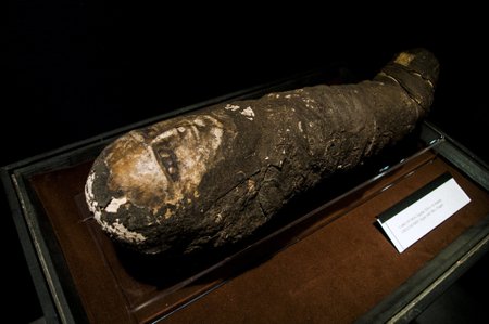 Egipto mumijos klastotė