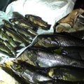 Neeilinė aplinkosaugininkų operacija: sučiupti brakonieriai, „žvejoję“ elektra Kenos upėje