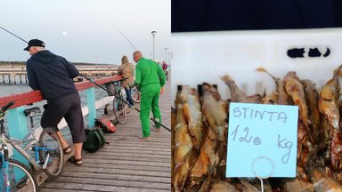 Mokslininkai atsakė – ar saugu valgyti Baltijos jūroje sugautas žuvis