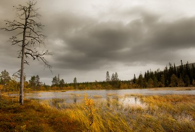 Sarek Nacionalinis parkas, Švedija
