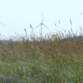 German company wins first wind-turbine contract in Lithuania