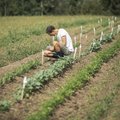 Vakarienės važiuoti į Kauną nebereikės: išanalizavęs prosenelių meniu Matas Paulinas atidaro restoraną sostinėje