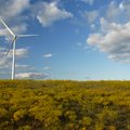 Green energy auctions planed every year