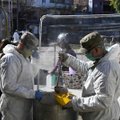 Argentinoje per parą nustatytas rekordinis užsikrėtimo koronavirusu atvejų skaičius – 5 344