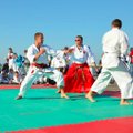 Europos tradicinės fudokan šotokan karatė čempionate lietuviams - septyni medaliai