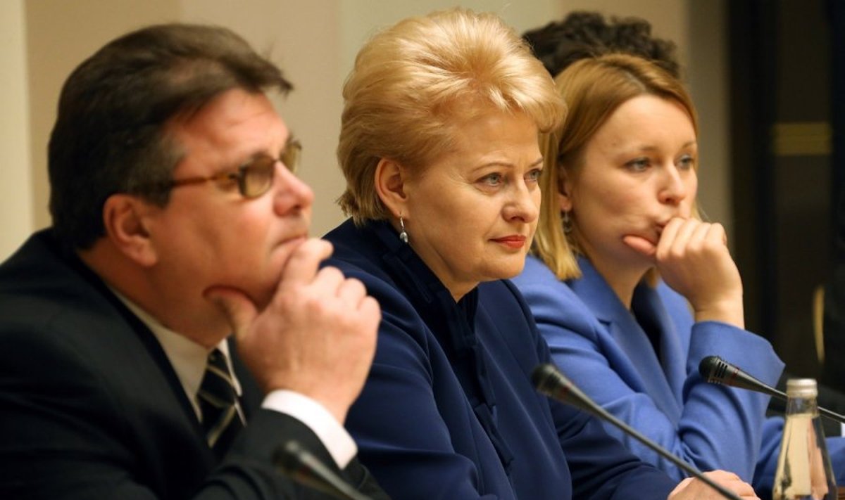 Prezidentė Dalia Grybauskaitė priėmė „Sniego susitikimo“ dalyvius 