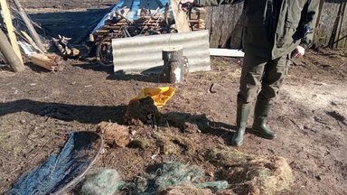 Vilniaus aplinkosaugininkams pakliuvo tinklais žuvis gaudęs brakonierius: žvejybos įrankiai konfiskuoti