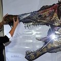 Brazilijoje pristatytos didžiulio dinozauro fosilijos