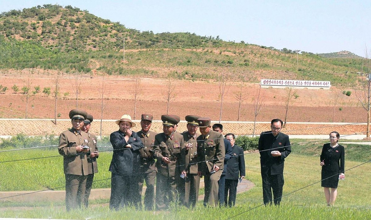 Kim Jong Unas, Kim Yo Jong