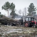 N. Kupstaitis: miškininkams teks gelbėti nuostolingai dirbančius urėdus