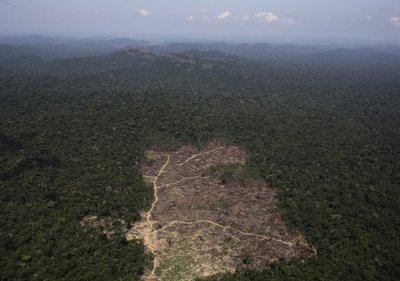 Iškirstas plotas Amazonės miškuose