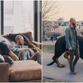 Šuo milžinas: internautus žavi linksmos nuotraukos