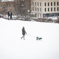 Зима из Литвы не уходит: новый циклон принесет еще одну порцию снега
