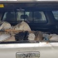 Brakonieriams ribų nėra: Kaišiadorių rajone aplinkosaugininkai rado daugiau nei kilometrą nelegalių tinklų