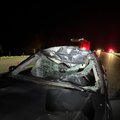 В Ширвинтском районе автомобиль сбил лося, водитель погиб