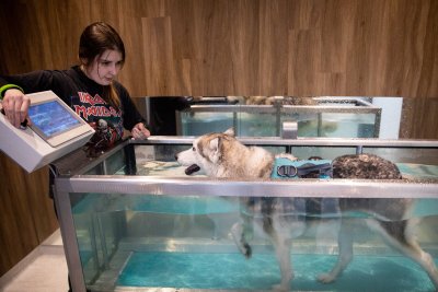 Didžiausios Lietuvoje gyvūnų ligoninės ir gyvūnų gydymo bei sveikatinimo komplekso atidarymas