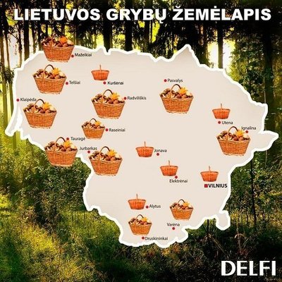 Lietuvos grybų žemėlapis