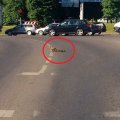 Kilo sumaištis: judrioje Vilniaus gatvėje – ančiukų paradas