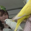 Bankoke duris atvėrė unikali vieta: siūlo pažintį su 110 paukščių