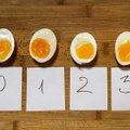 Eksperimentas virtuvėje: išbandė skirtingai pažymėtus kiaušinius iš parduotuvės – vieną iš jų paragavus net supykino