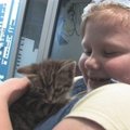 Gamtininko D.Liekio videoblogas: kačiukas Rainis surado namus