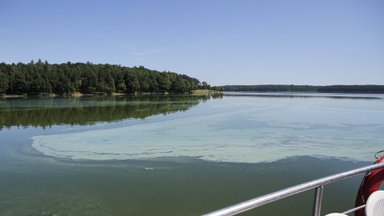 Marzipan Smell in Kaunas Sea