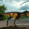 Mažesnis tiranozauro pirmtakas padėjo įminti paleontologijos mįslę
