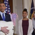 Padėkos dienos proga B. Obama suteikė malonę dviems kalakutams