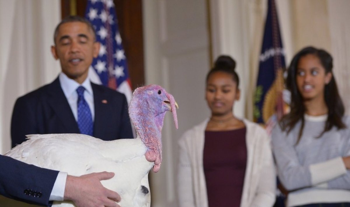 Padėkos dienos proga B. Obama suteikė malonę dviems kalakutams
