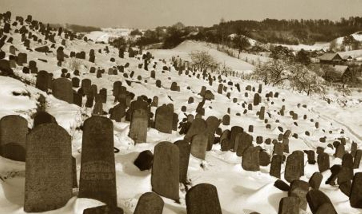 The old Jewish cemetery, 1963-1965