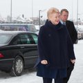 Президент Литвы "какое-нибудь правительство" утвердит