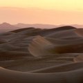 Mokslininkai išmoko dykumoje sukelti liūtis