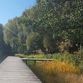 Pristatyta, kaip keisis pėsčiųjų takai prie Trakų ežerų