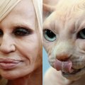 Donatella Versace – kaip iš akies traukta katė-siaubūnė FOTO