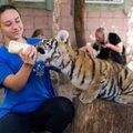 Į zoologijos sodą plūstantiems turistams pažėrė kritikos: sumokėjo 8 eurus ir mano, kad gyvūnai jiems turi šypsotis