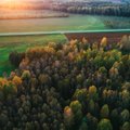 Vienas didžiausių Lietuvos miškų savininkų nerimauja: daugėja apribojimų ir pirkėjų iš užsienio