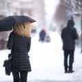 Žiemos prognozė: laukia neįprasta šiluma