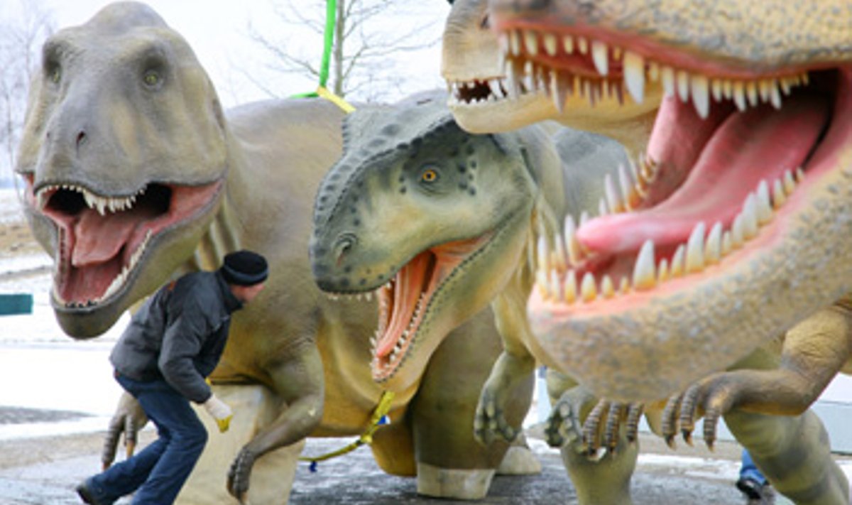 Darbininkas ruošia dinozaurų maketus “Biosferos” tropiniame sode Vokietijoje. 