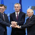 Украина рассчитывает на четкое решение о ее членстве в НАТО на саммите в Вильнюсе