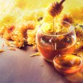 Viltys sulaukti didžiulio medaus derliaus sudužo – kiek šiemet kainuoja medus