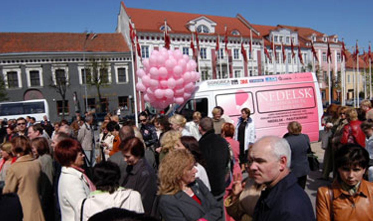 "Nedelsk" rožinis autobusėlis Rotušės aikštėje