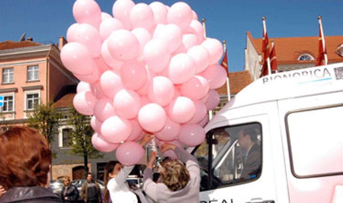 "Nedelsk" rožinis autobusėlis Rotušės aikštėje