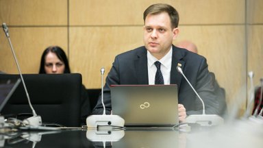 New Seimas elections due as MP Nekrošius wins Raseiniai mayor seat