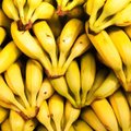 Kokius bananus sveikiau valgyti – žalius, geltonus ar su rudomis dėmelėmis?