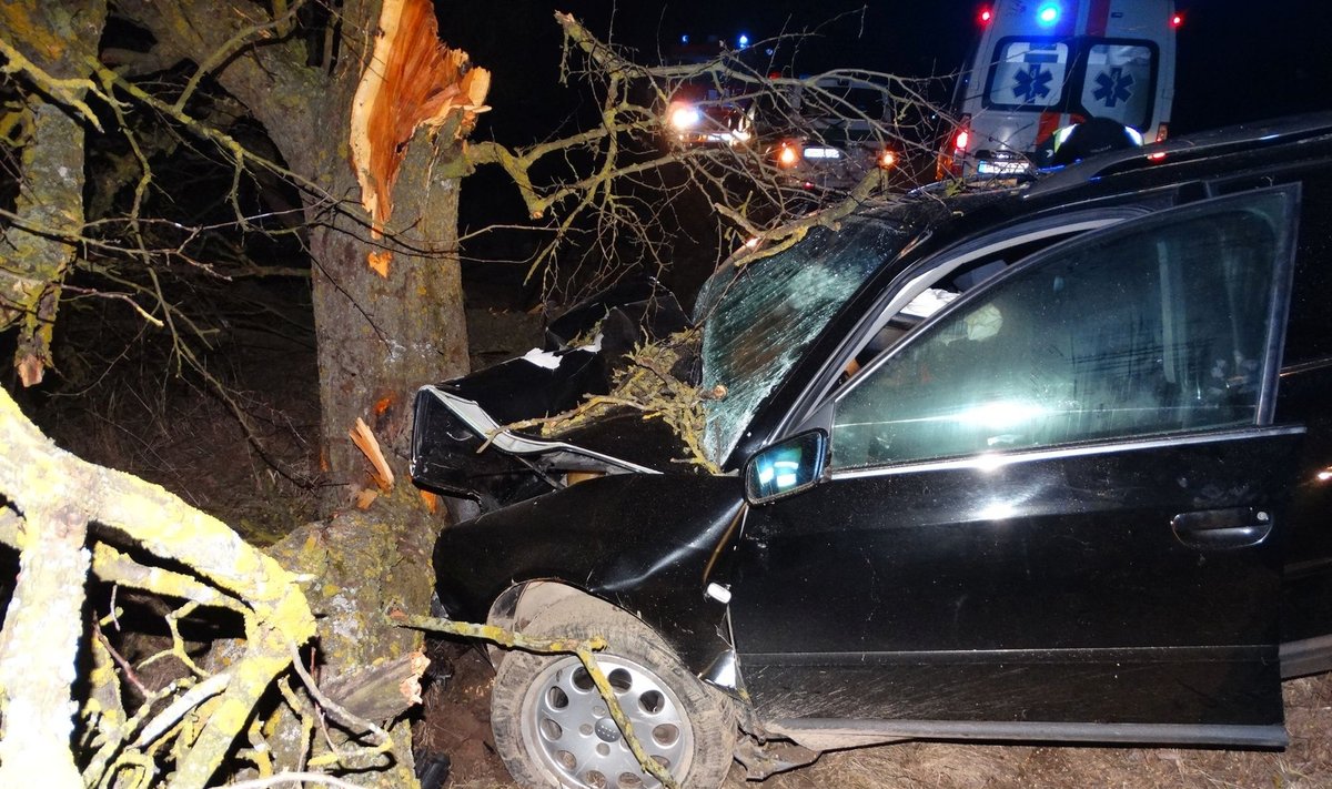 Alytaus rajone "Audi" rėžėsi į medį, du žmonės ligoninėje