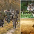 Medžioklės sezonas: štai, ką būtina žinoti apie medžioklės leidimus, terminus ir baudas