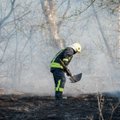 Savaitgalį ugniagesiai dirbo be atokvėpio: degė lentpjūvė, liepsnojo namų stogai, automobiliai ir žolė